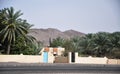 A roadside dates farmhouse in the Oman Royalty Free Stock Photo