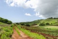 Greenery Of Beautiful Landscape Royalty Free Stock Photo