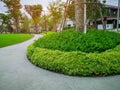 Greenery bush and trees in garden with gray curve pattern walkway, sand washed finishing on concrete paving and brown gravel