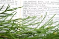 Greenery with Christmas scripture, Isaiah 9:6