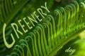 Greenery Day is a national holiday in Japan Royalty Free Stock Photo