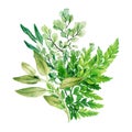 Greenery decorative bouquet, composed of fresh green leaves