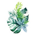 Greenery decorative bouquet, composed of fresh green monstera