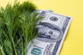 Greenery: dill and one hundred dollars on yellow background, horizontal