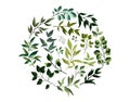 Greenery eco leaves herbs foliage in watercolor style
