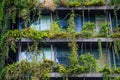 Greenery exterior glass window building full of plants. Royalty Free Stock Photo