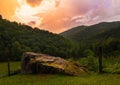 Greenery field surrounded by dense trees at sunset Royalty Free Stock Photo