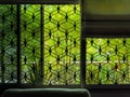 Greenery, foliage, plants and warm sunlight viewed through a metal grilled window. Garden, nature concept