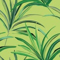 Greenery fresh palm background design. Tropical leaf various banana or coconut jungle, rainforest wild realistic illustration