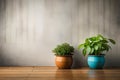 Greenery Galore: Close-Up of Various Potted Plants on a Blank Concrete Wall