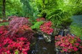 Greenery Garden filled with colourful flower Royalty Free Stock Photo