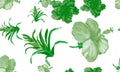 Greenery Hibiscus Set. Organic Flower Plant. Natural Seamless Foliage. Watercolor Illustration. Pattern Set. Tropical Print. Exoti Royalty Free Stock Photo