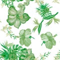 Greenery Hibiscus Textile. Organic Flower Backdrop. Natural Seamless Print. Watercolor Leaves. Pattern Background. Green Tropical Royalty Free Stock Photo