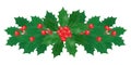 Greenery holly berry branch border design on white