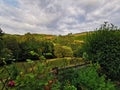 Greenery landscape grass green nature bright life birds flowers clouds