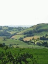 Greenery landscape grass green nature bright life birds flowers clouds