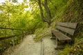 Greenery landscape scenic environment national park forest nature hill land with wooden bench near dirt trail ground path way for Royalty Free Stock Photo