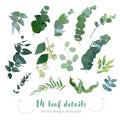 Greenery leaves vector big collection