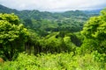 Greenery mountain panorama and town view from afar with spring t