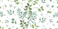 Greenery pattern. Eucalyptus seamless wedding print of leaves and branches, trendy botanical background. Vector elegant