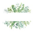 Greenery plants, watercolor eucalyptus border. Simple wedding decor, minimalist herbarium frame, menu with green leaf