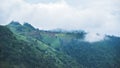 Greenery rainforest and hills on foggy day Royalty Free Stock Photo
