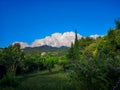 Greenery shrubs flower and trees in beautiful garden backyard , mountain on background under white fluffy clouds and blue sky Royalty Free Stock Photo