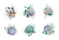 Greenery and succulent, romantic bouquets for wedding invite or greeting card. element set.