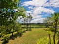 The Greenery view and blue sky inThailand