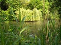 The beauty of the river under the summer sun Royalty Free Stock Photo