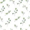 Greenery watercolor seamless pattern hand painted silver dollar eucalyptus. Nature eco design branches and leaves.