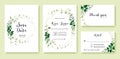 Greenery wedding Invitation, save the date, thank you, rsvp card Design template. Lemon leaf, silver dollar, olive leaves, Ivy Royalty Free Stock Photo