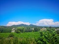 Greenery wineyard, shrubs and trees in beautiful garden backyard, village on the mountain on background under white fluffy clouds Royalty Free Stock Photo