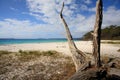 Greenfields Beach Jervis Bay Australia Royalty Free Stock Photo