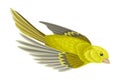 Greenfinch as Warm-blooded Vertebrates or Aves with Feathers and Toothless Beaked Jaw Vector Illustration