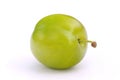 Greengage Royalty Free Stock Photo