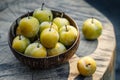 Greengage fruit in bowl on wooden table Royalty Free Stock Photo