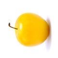 Greengage plum Royalty Free Stock Photo