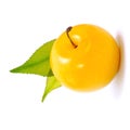 Greengage plum Royalty Free Stock Photo