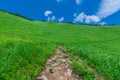 Greengrass at Soni plateau,Nara Prefecture ,Japan Royalty Free Stock Photo