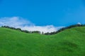 Greengrass at Soni plateau,Nara Prefecture ,Japan Royalty Free Stock Photo