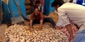 greengrocer arranging potatoes at farmers shop Royalty Free Stock Photo