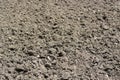 The arid soil after plowing Royalty Free Stock Photo
