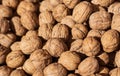 A background of walnuts harvested in the woods Royalty Free Stock Photo