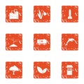 Greengrocery icons set, grunge style