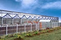 Greenhouse Royalty Free Stock Photo