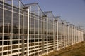 Greenhouse Royalty Free Stock Photo