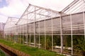 Greenhouse Royalty Free Stock Photo