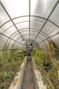 Greenhouse after autumn harvest in cloudy fall day