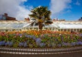 Belfast Botanic Gardens